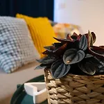 Apartman Terrazza Blu Di Millo Monopoli