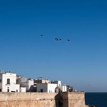 公寓 Terrazza Blu Di Millo 莫诺波利