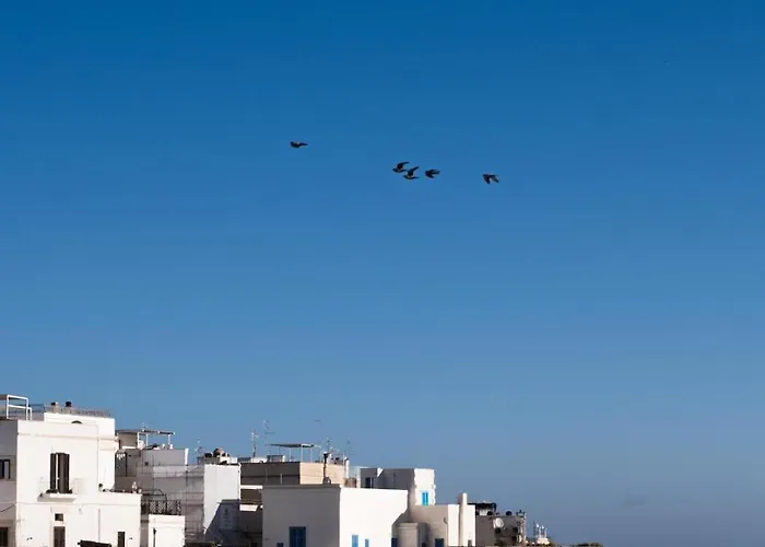 Апартаменты Terrazza Blu Di Millo Монополи