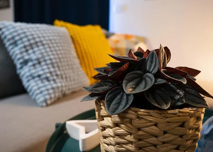 Апартаменты Terrazza Blu Di Millo Монополи