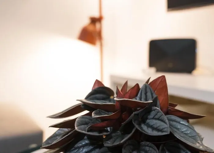 Terrazza Blu Di Millo Апартаменты *