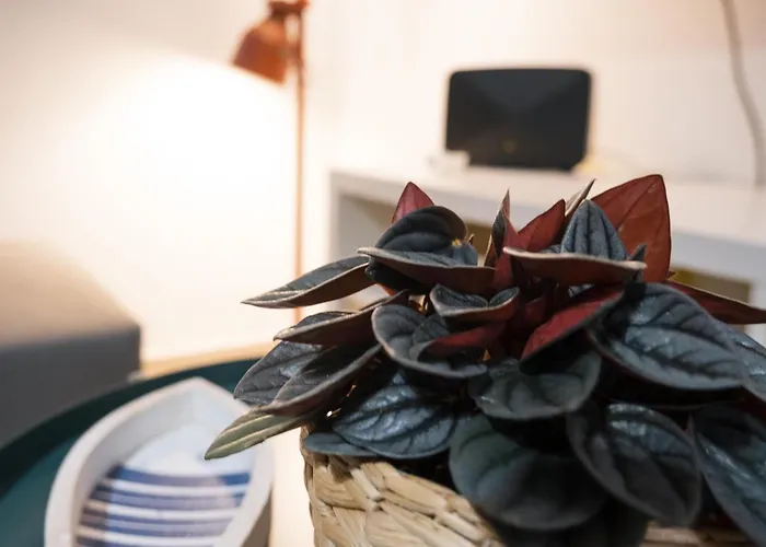 Terrazza Blu Di Millo Апартаменты Монополи