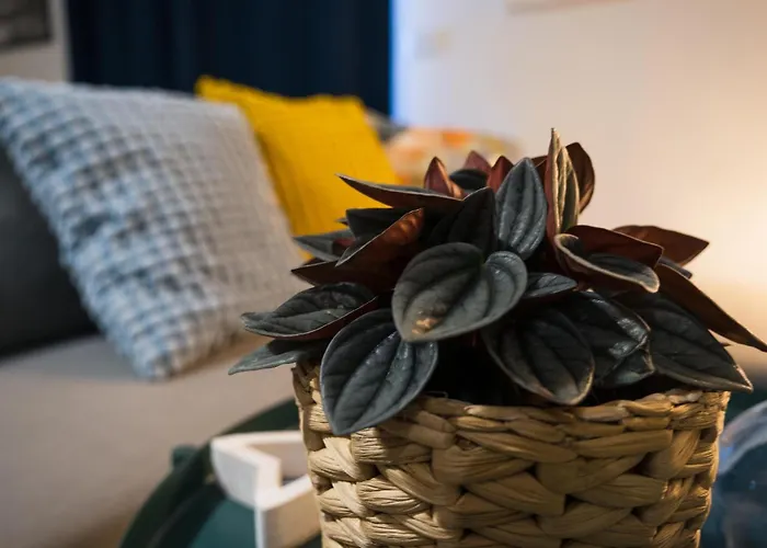 Terrazza Blu Di Millo Апартаменты Монополи